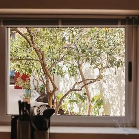 Apartment Garden By Holistay Tirana